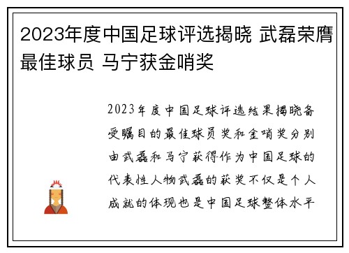 2023年度中国足球评选揭晓 武磊荣膺最佳球员 马宁获金哨奖